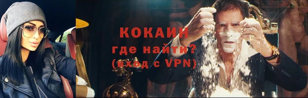 трава Карпинск