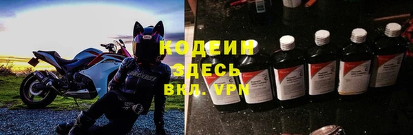 трава Карпинск