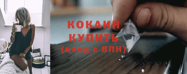 трава Карпинск