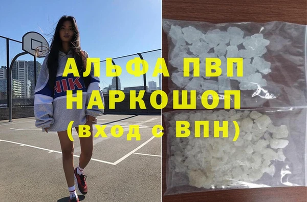 трава Карпинск
