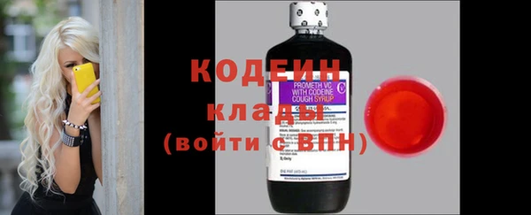 трава Карпинск