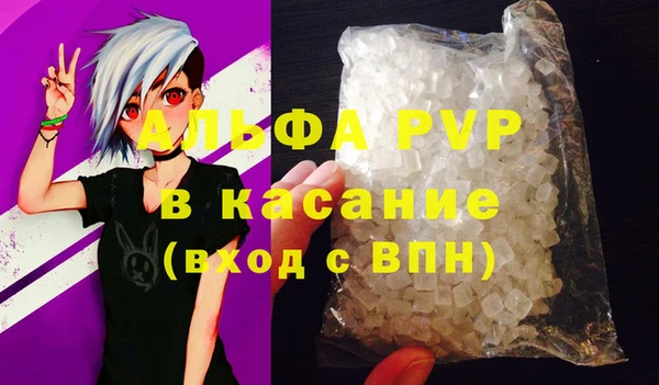 трава Карпинск