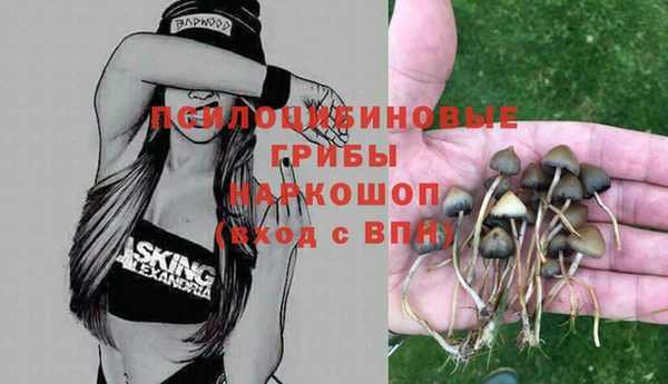 трава Карпинск