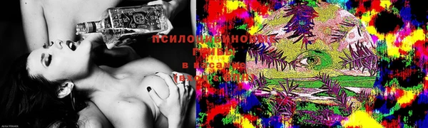 ПСИЛОЦИБИНОВЫЕ ГРИБЫ Карталы