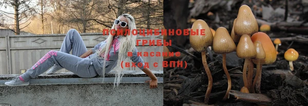 трава Карпинск