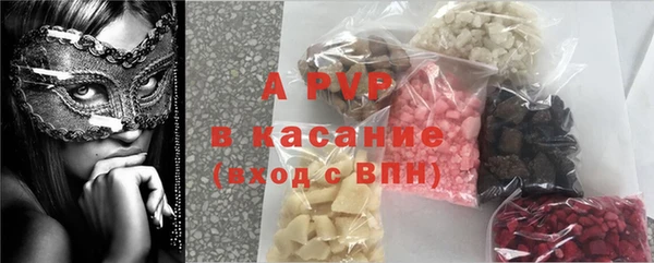 трава Карпинск