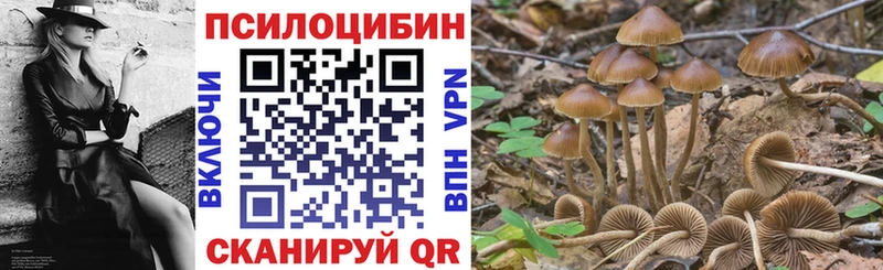 blacksprut ссылка  Александровское  Галлюциногенные грибы Magic Shrooms 